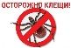 Исследование клещей на зараженность 74-53-90