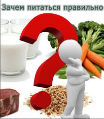 Вопросы и ответы по организации питания
