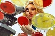 Уровни инфекционной и паразитарной заболеваемости по предварительному диагнозу на ...