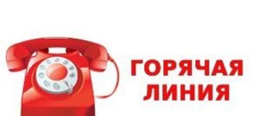 Горячая линия по вопросам организации детского отдыха и оздоровления детей