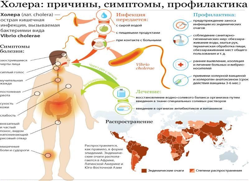 Холера