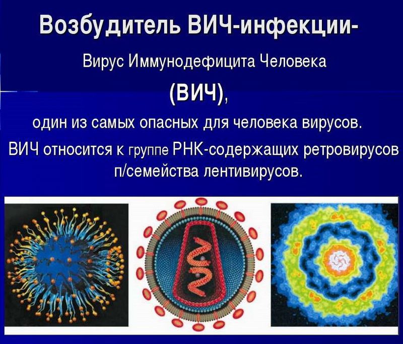 Смертельный вирус