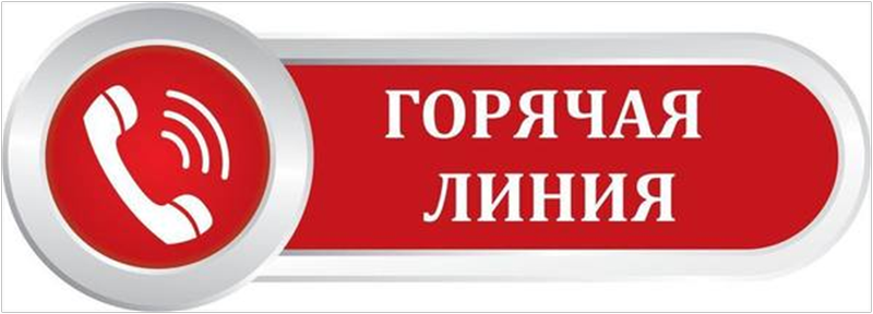 О горячей линии к Всемирному дню прав потребителей
