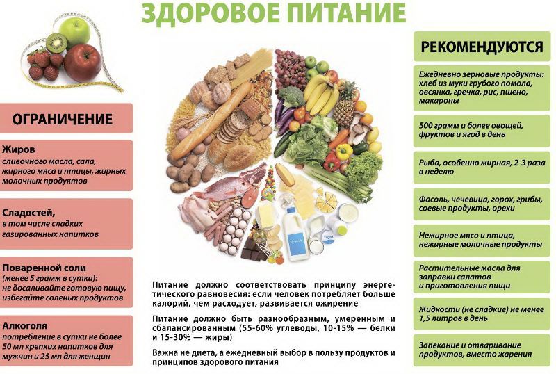 Рекомендации по правильному питанию