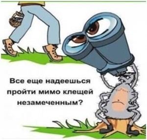 Профилактика клещевого энцефалита