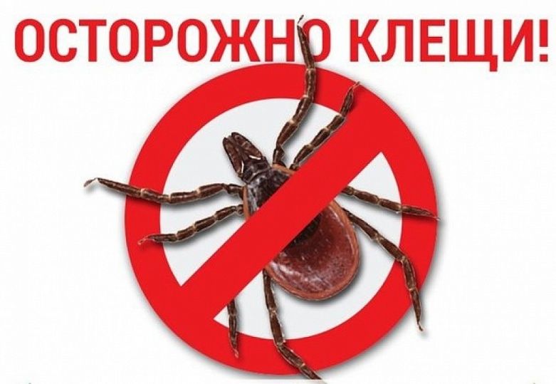 Остерегайтесь клещей