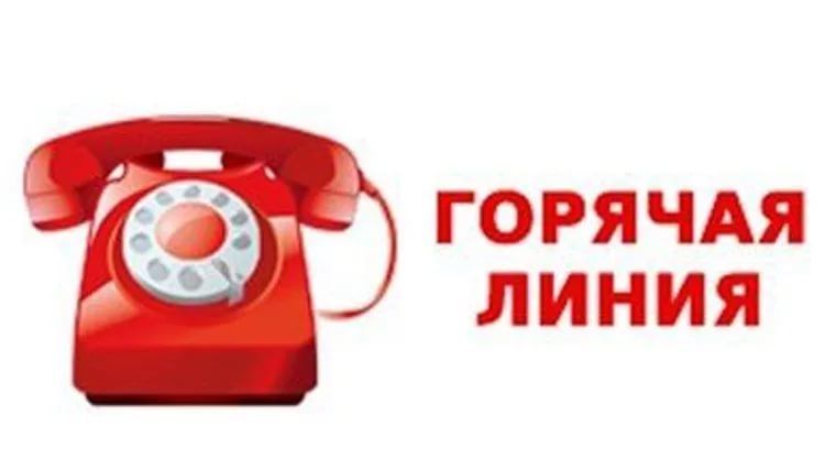 С 1 по 15 мая будет организована горячая линия по профилактике клещевого энцефалита