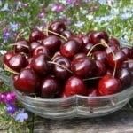 Как правильно выбирать черешню