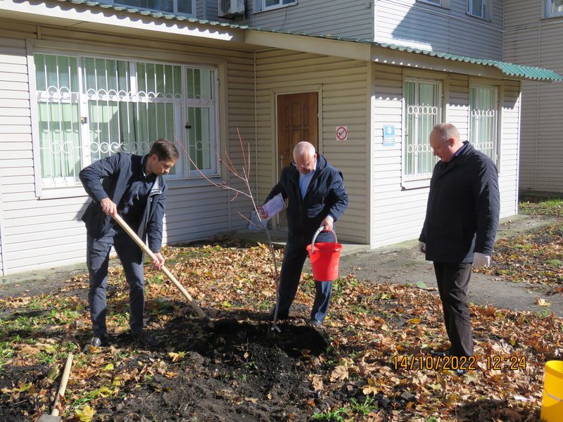 В рамках мероприятий, приуроченных к празднованию 100-летия Госсанэпидслужбы России высажены саженцы кленов
