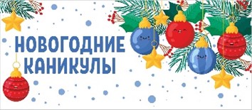 Новогодние каникулы с 1 по 11 января. Как провести их с пользой?